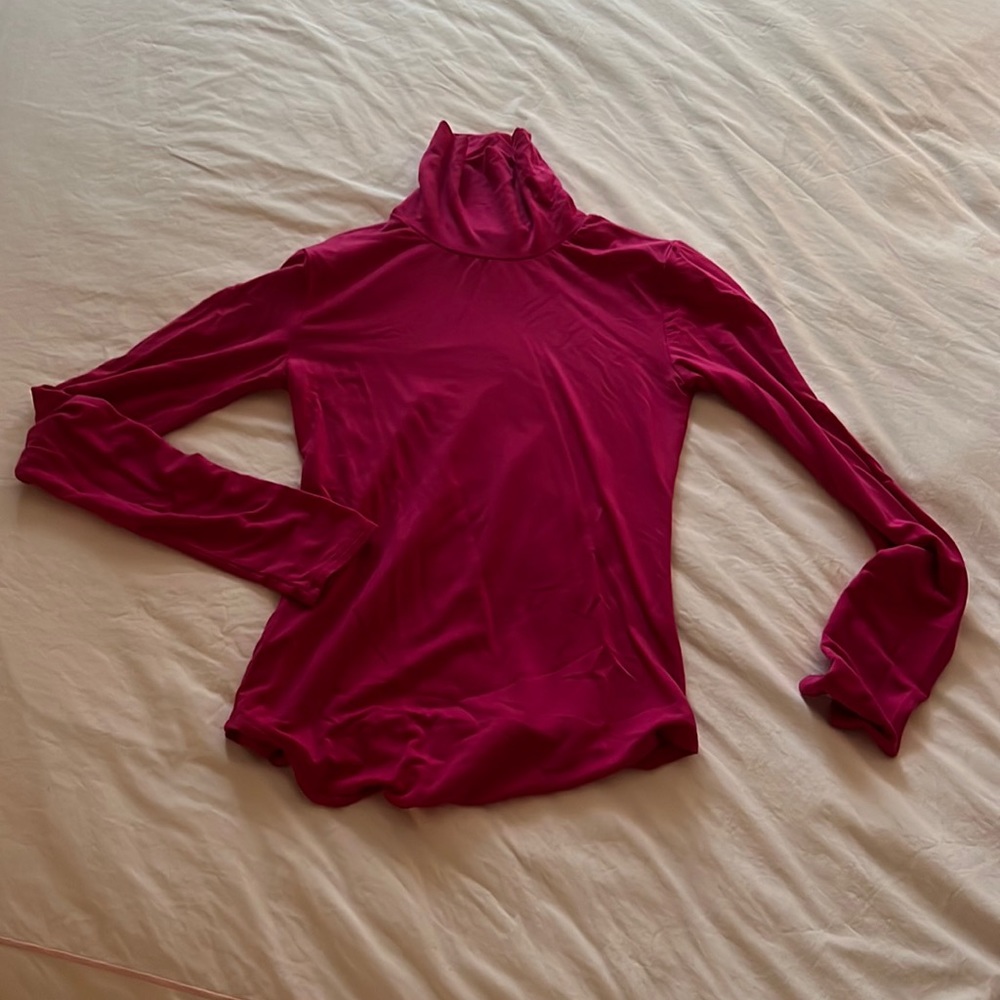Unworn Aritzia Tight Turtleneck
